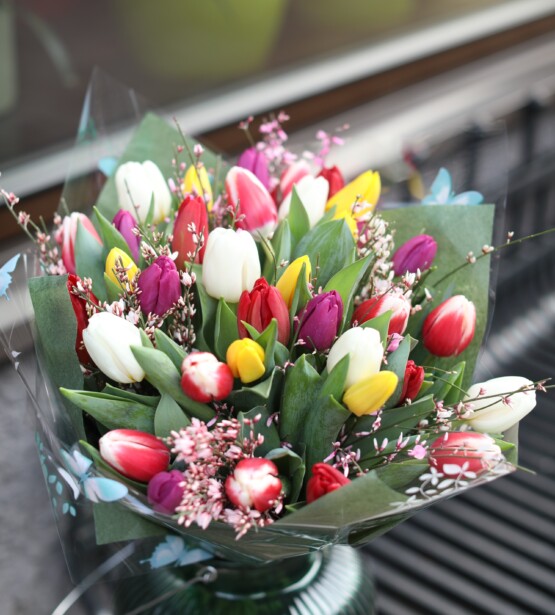 Krāsainas tulpes 35gab.